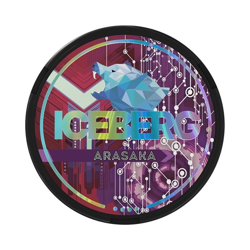 Iceberg Arasaka